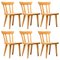 Oregon Pine Dining Chairs by Roland Wilhemsson, Set of 6 1