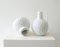 White Porcelain Vases from Kaiser, Germany, 1970s, Set of 2 3