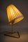 Lampes de Bureau Mid-Century par Rupert Nikoll, 1950s, Set de 2 12