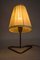 Mid-Century Table Lamps by Rupert Nikoll , 1950s, Set of 2 3
