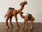 Large Leather Camels, 1950s, Set of 2 1