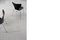 Sedie serie 7 vintage moderne di Arne Jacobsen per Fritz Hansen, Danimarca, anni '50, Immagine 6