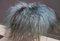 Blue Goat Hair Fluffy Stool on Brass Hairpin Legs, 1960s 6