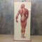 Lavagna vintage "Muscle of Man", Germania, anni '50, Immagine 1