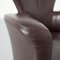 Brown Leather Amphora Armchair by Frans Schrofer for Leolux, Image 11
