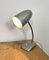 Grey Gooseneck Desk Lamp, 1960s 15