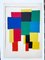 Sonia Delaunay, Color Rhythm, 1966, Lithographie 5