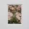 David Urbano, The Rose Garden, 2017, Giclée Drucke auf Hahnemüler Papier, gerahmt, 9er Set 8