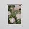 David Urbano, The Rose Garden, 2017, Giclée Drucke auf Hahnemüler Papier, gerahmt, 9er Set 12