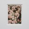 David Urbano, The Rose Garden, 2017, Giclée Drucke auf Hahnemüler Papier, gerahmt, 9er Set 14