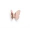 Butterfly Coat Hook with Copper Finish by Richard Hutten 2