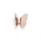 Butterfly Kleiderhaken mit Kupferlack von Richard Hutten 2