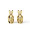 Rabbit Salt and Pepper Shakers with Brass Finish by Stefano Giovannoni, Set of 2 2