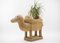 Vintage Italian Handmade Rattan Camel Planter, 1960s 17
