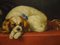 Cavalier King Dogs, Oil on Canvas, Framed 8