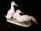 Helmut Diller for Hutschenreuther, Group of Ducks, 1950s, Colored Porcelain 6