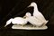 Helmut Diller for Hutschenreuther, Group of Ducks, 1950s, Colored Porcelain 2