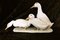 Helmut Diller for Hutschenreuther, Group of Ducks, 1950s, Colored Porcelain, Image 2