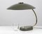 Large Bauhaus Green Desk Lamp in Brass from LBL, 1950s 2