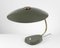 Large Bauhaus Green Desk Lamp in Brass from LBL, 1950s 3