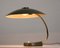 Large Bauhaus Green Desk Lamp in Brass from LBL, 1950s 7