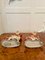 Antike viktorianische Staffordshire Hunde, 2er Set 10