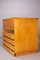 Vintage Beechwood Artists Plan Chest School Furniture from Esa, 1970s, Image 4