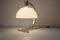 Lampe de Bureau Mid-Century par Franco Albini & Franca Helg pour Sirrah, Italie, 1960s 6