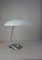 Large Vintage Gray Desk Lamp, 1960s 1