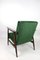 Green Chameleon Easy Chair, 1970s 5