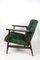 Green Chameleon Easy Chair, 1970s 4