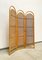 Mid-Century Boho Bamboo Wicker Room Divider Paravent, 1970s 3