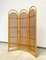 Mid-Century Boho Bamboo Wicker Room Divider Paravent, 1970s 2