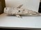 Vintage Iron Whale Sculpture Moby Dick, 1960s 11