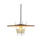 Space Age Pendant Light by Ernest Igl for Hillebrand, 1950s, Image 1