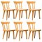 Vintage Oregon Pine Dining Chairs by Roland Wilhemsson, Set of 6 1