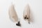 Large Feather Sconces by Seguso, Set of 2 10