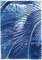 Kind of Cyan, Majesty Palm Pattern, 2021, Cyanotype 1