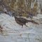 Pheasants in the Snow, 1920s, Image 10