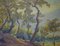 Silvio Travaglia, Euganean Hills, años 20, óleo sobre madera, enmarcado, Imagen 2