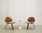 P31 Lounge Chairs by Osvaldo Borsani for Tecno, 1957, Set of 2 2