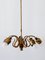 Mid-Century Modern Five-Armed Brass Tulip Pendant Lamp or Chandelier, Italy, 1950s 2