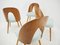 Dining Chairs by Antonin Suma, 1960s, Set of 4 9