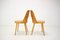 Chair from Ton, 1960s, Set of 2 6