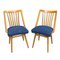 Dining Chairs by Antonín Šuman, Czechoslovakia, 1960s, Set of 2 2