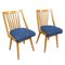 Dining Chairs by Antonín Šuman, Czechoslovakia, 1960s, Set of 2 3