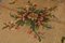 Alfombra Savonerie francesa con motivos florales, años 20, Imagen 13