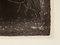 Fritz Kronenberg, Ragazza con fiore tra i capelli, 1950, Litografia in bianco e nero, con cornice, Immagine 5