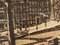 Cornelis Brandenburger Land, Amsterdam im Winter, Radierung in Schwarz & Weiß auf Papier, gerahmt 4