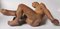 Danskin-Schievelbein Dorothea, Female Nude, Ceramic 11